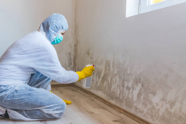 Commercial Mold Remediation assessment for commercial property in Imler