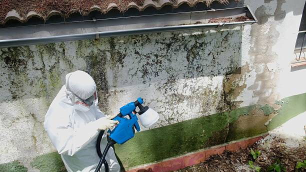 Clearance testing in Imler